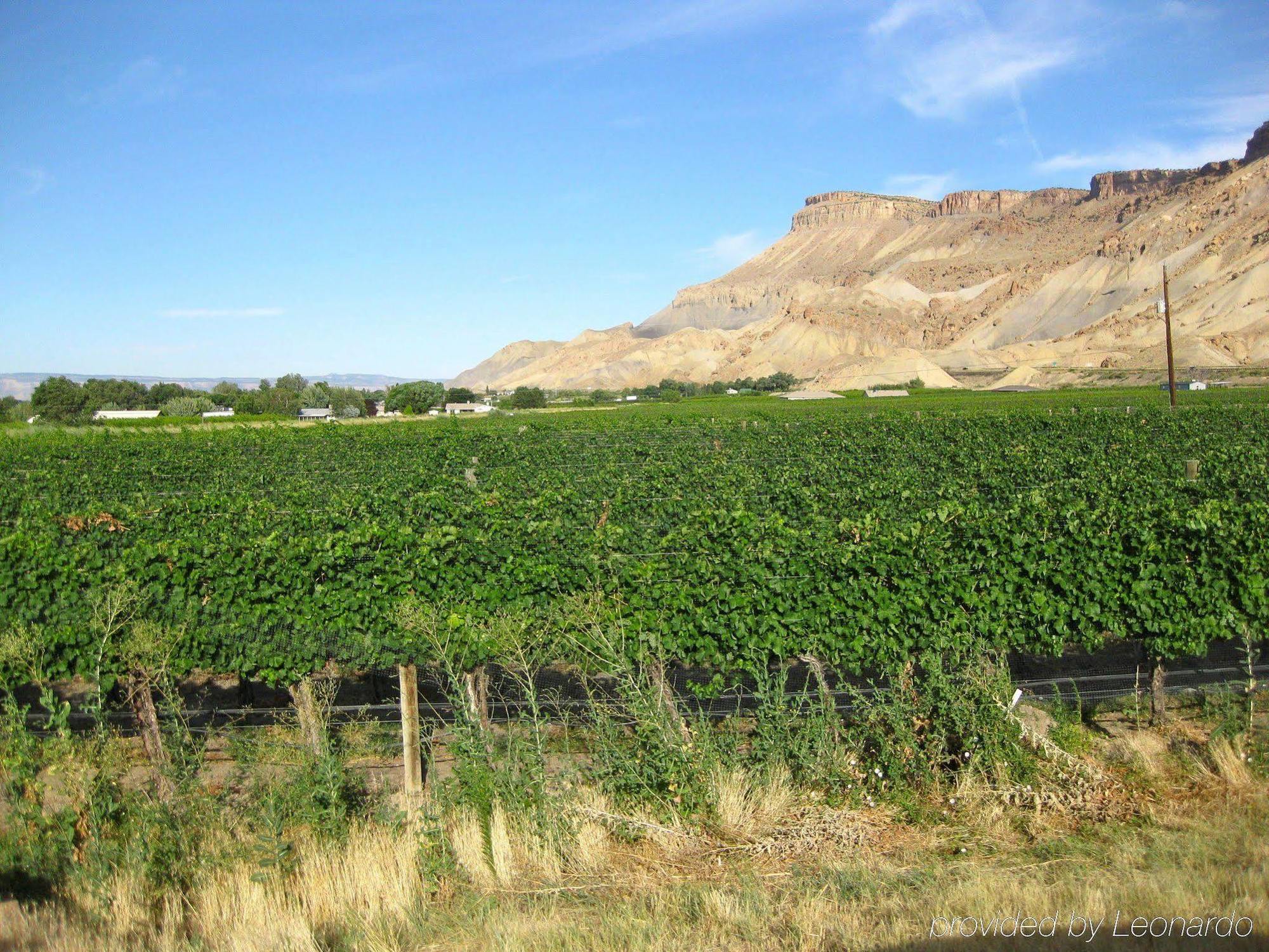 Wine Country Inn Palisade Eksteriør bilde